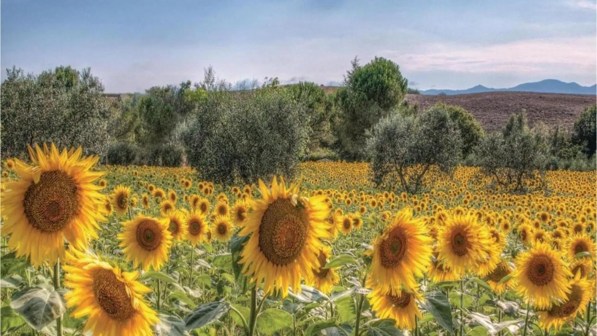 Belvilla By Oyo Casa Rossa 8 Pax Marti 0*,  Italien